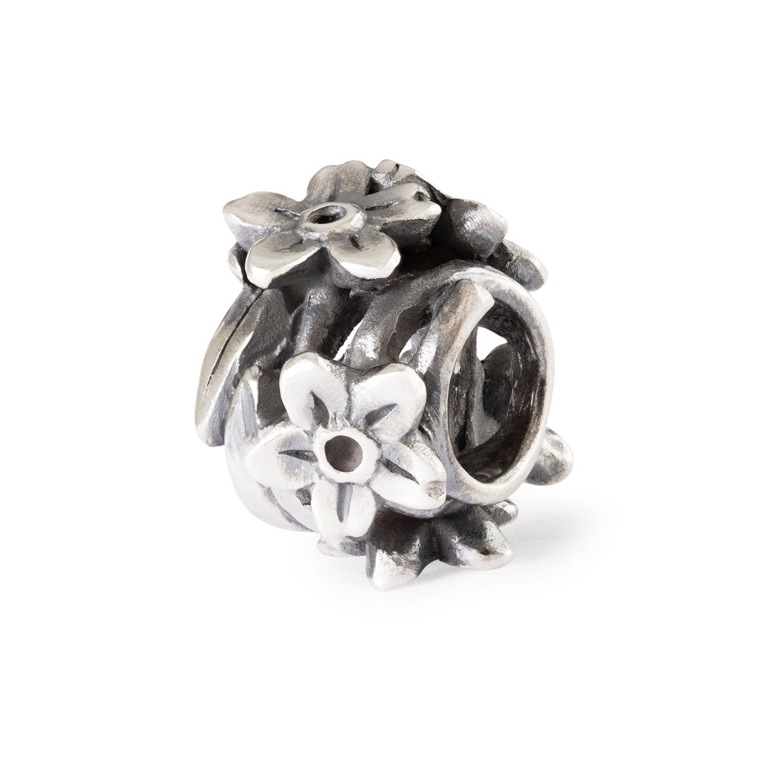 Trollbeads Argento Uno per Tutti -TAGBE20163 Trollbeads Argento Uno per Tutti -TAGBE20163