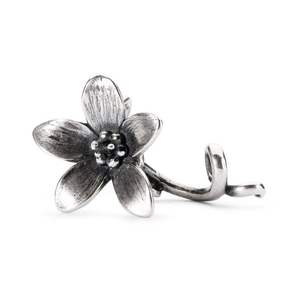 アクセサリー anemone stainless pierce𓂃🌼 ⁡ メタルデザインならお花モチーフも 可愛くなり