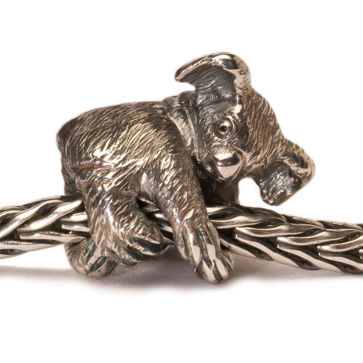 Trollbeadsチャーム(適用 Koala Bead – Trollbeads