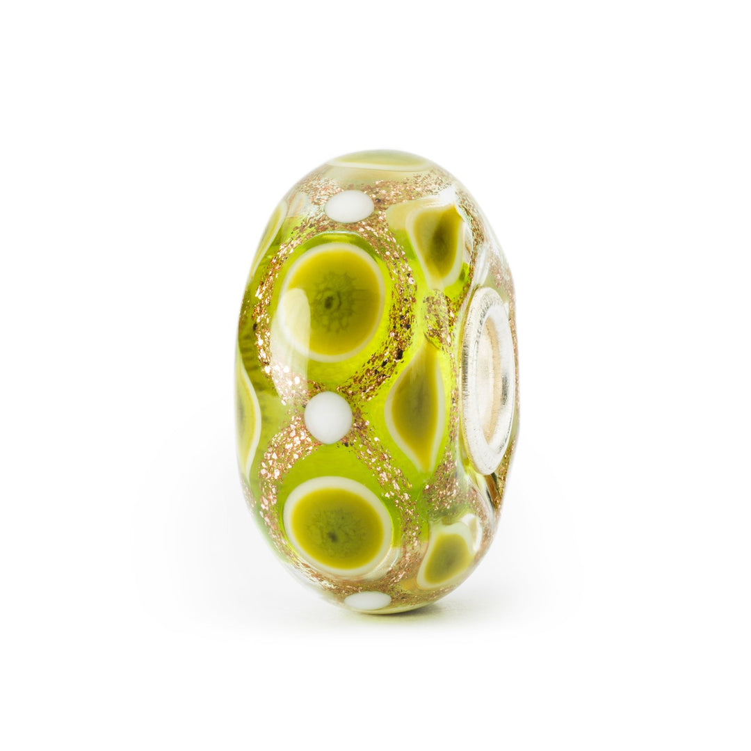 9f77df7a-bc16-4b21-b136-